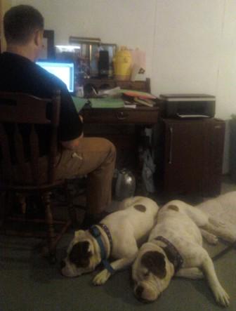 Fortunate K9 Rick and Dogue De Bordeaux Izzy