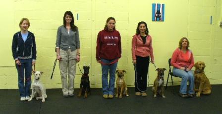Diana and Ron with the 3 Rottweilers