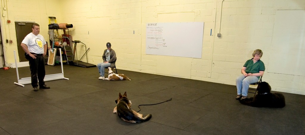 Group dog training class at Fortunate K9 in Derry NH 