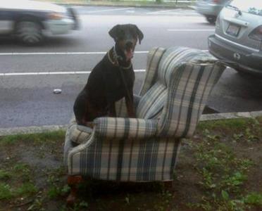 Geronimo von Rubenhof Beacon Street Brookline
