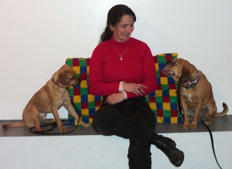 group dog training in North Hampton NH and Derry NH