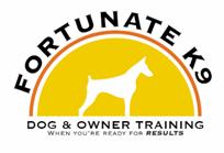 Bull Terrier dog training at Fortunate K-9 in Derry NH, North Hampton NH and Tewksbury MA