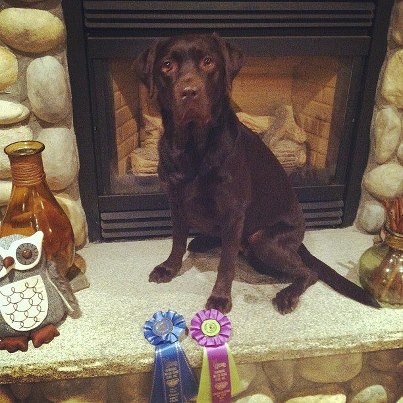 Fortunate K9's Rick Froton Union Leader article.  