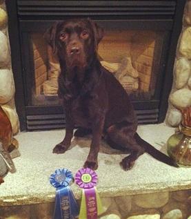 Fortunate K9's Rick Froton Union Leader article.  