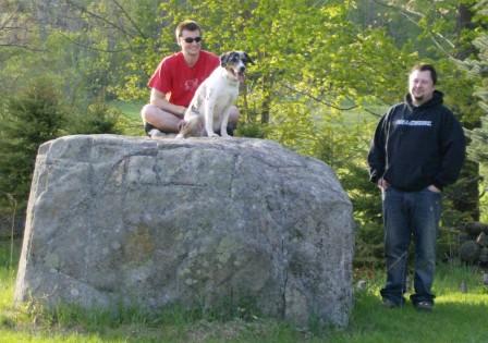 Dog training for Doberman in Derry NH