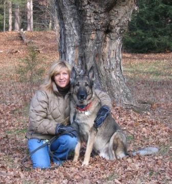 e-collar trained dog in Chester NH ecollar and remote collar training