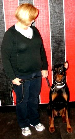 dog aggression problem solved Newport NH