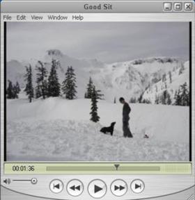 Great Dane dog training with Fortunate K9 in Derry New Hampshire