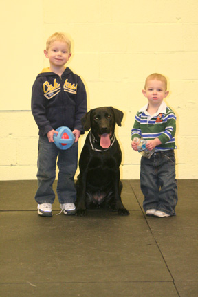 English Mastiff, Pug and Great Dane at Fortuante K9 Dog and Owner Training