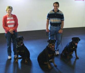 Diana and Ron with the 3 Rottweilers