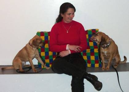 Puggle dog training in Derry NH and Tewksbury MA