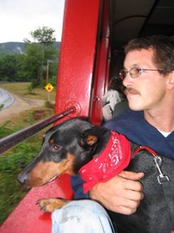 dog aggresssion solved in Portsmouth NH ecollar trained dog 