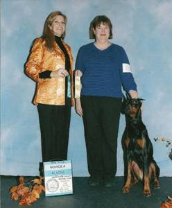 rescue doberman trained for AKC Rally obedience and AKC working dog titles Salem NH