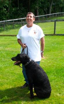 Dog training for Giant Schnauzers in North hampton NH on the seacoast