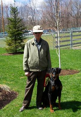 Dog training for Doberman in Derry NH 