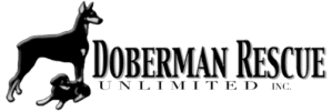 Doberman Rescue Unlimited logo